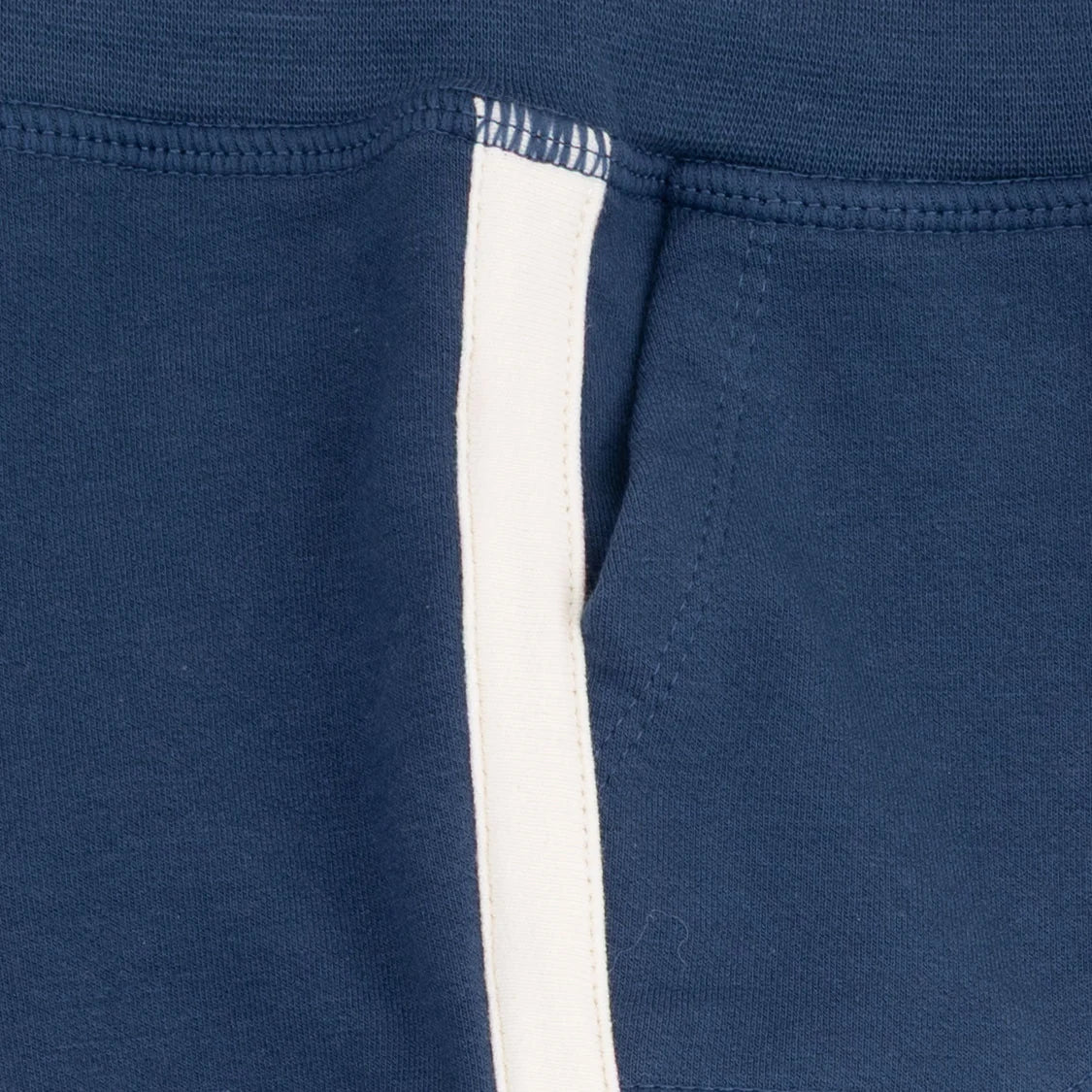 Solid Insignia Blue Jogger Pant With Varsity Stripes