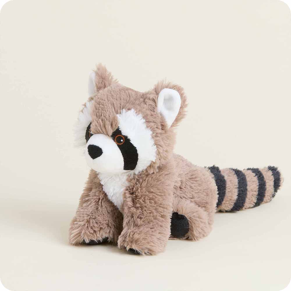 Racoon Warmies Junior
