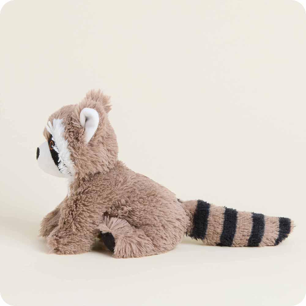 Racoon Warmies Junior