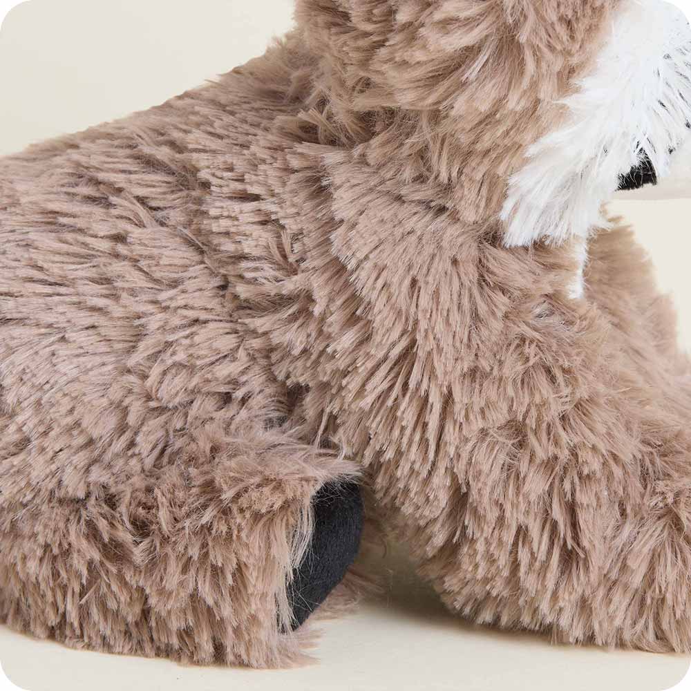 Racoon Warmies Junior