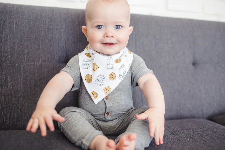 Chip Bandana Bib Set