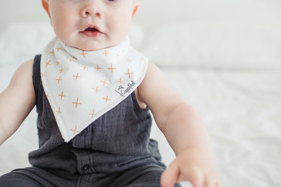 Chip Bandana Bib Set