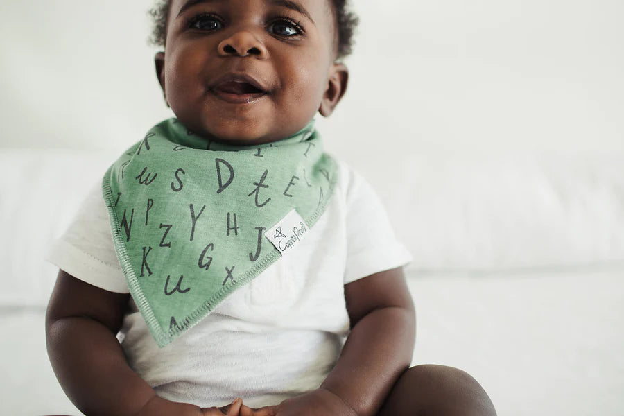 Chip Bandana Bib Set