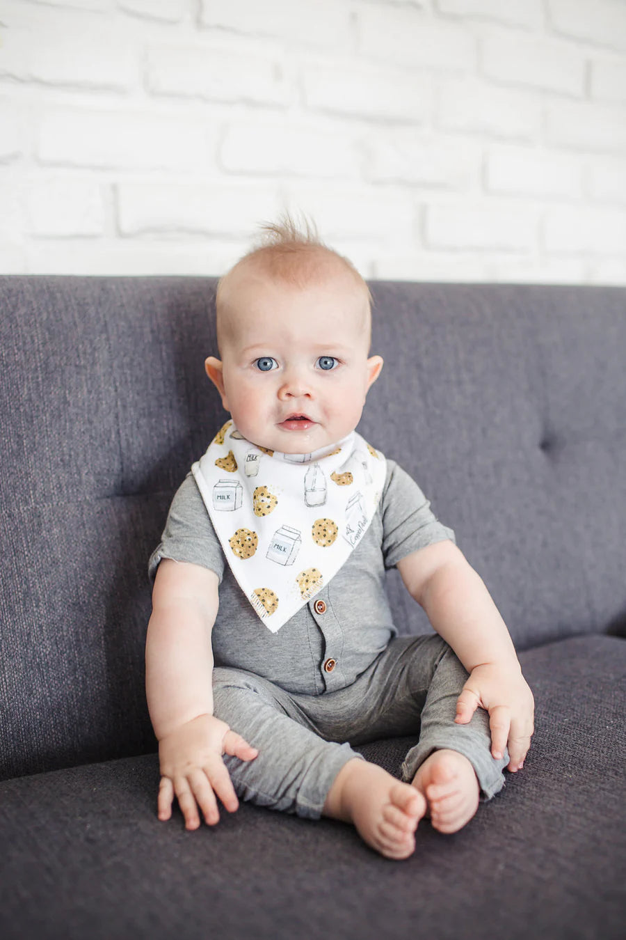 Chip Bandana Bib Set
