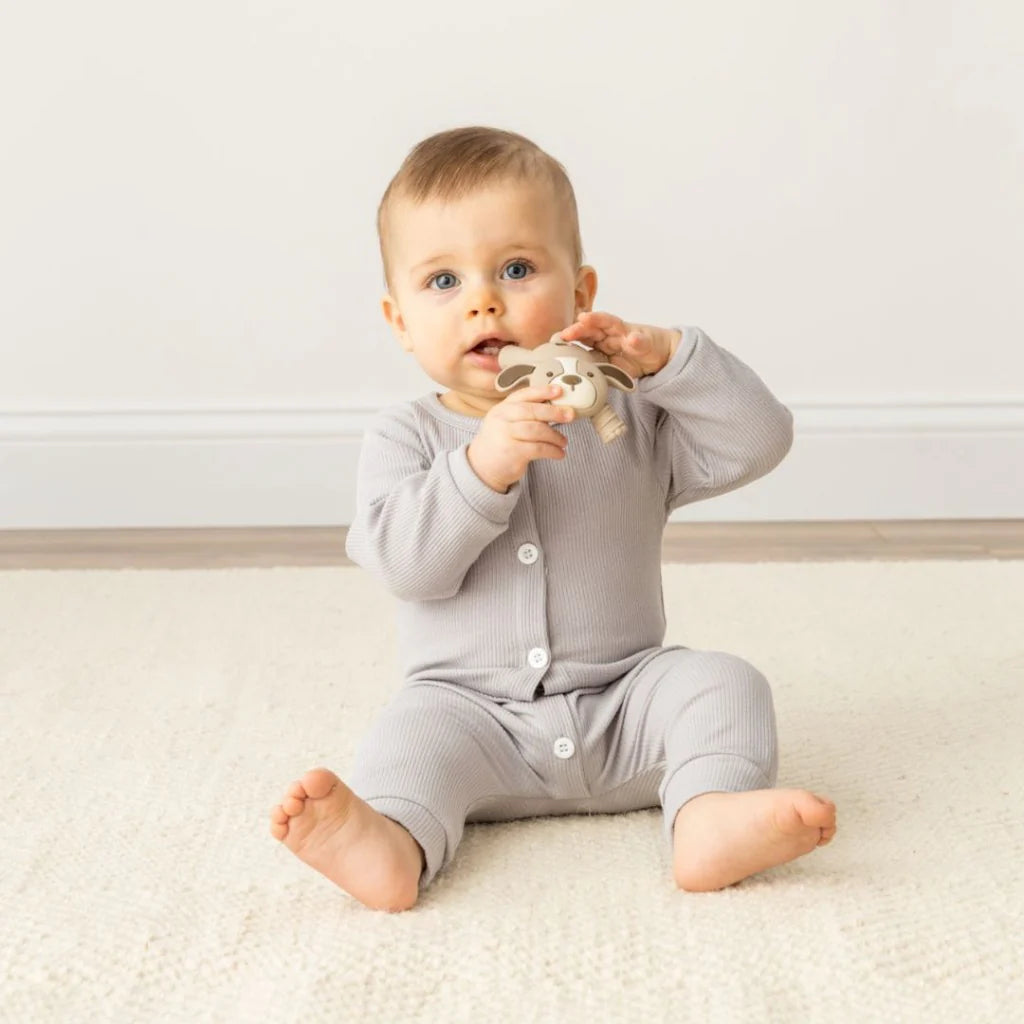 Ritzy Teether™ Baby Molar Teether