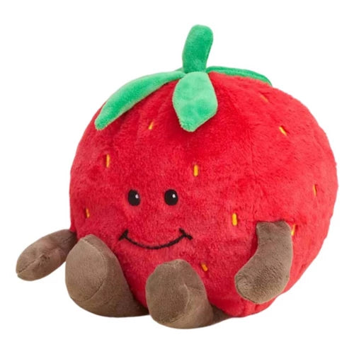 Strawberrry Warmies