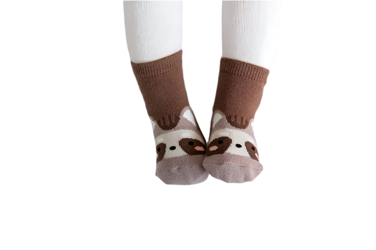 Raccoon Zoo Baby Animal Socks