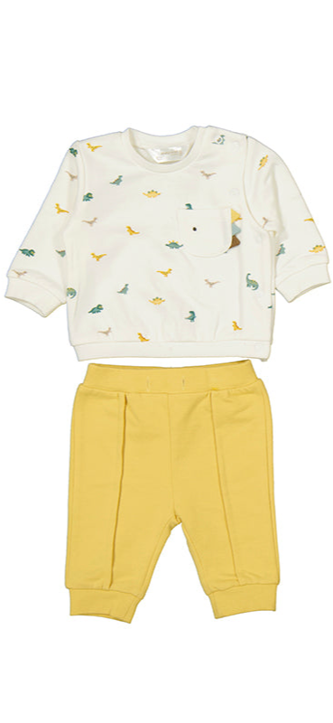 All Over Print Dino Sweatshirt & Jogger Set