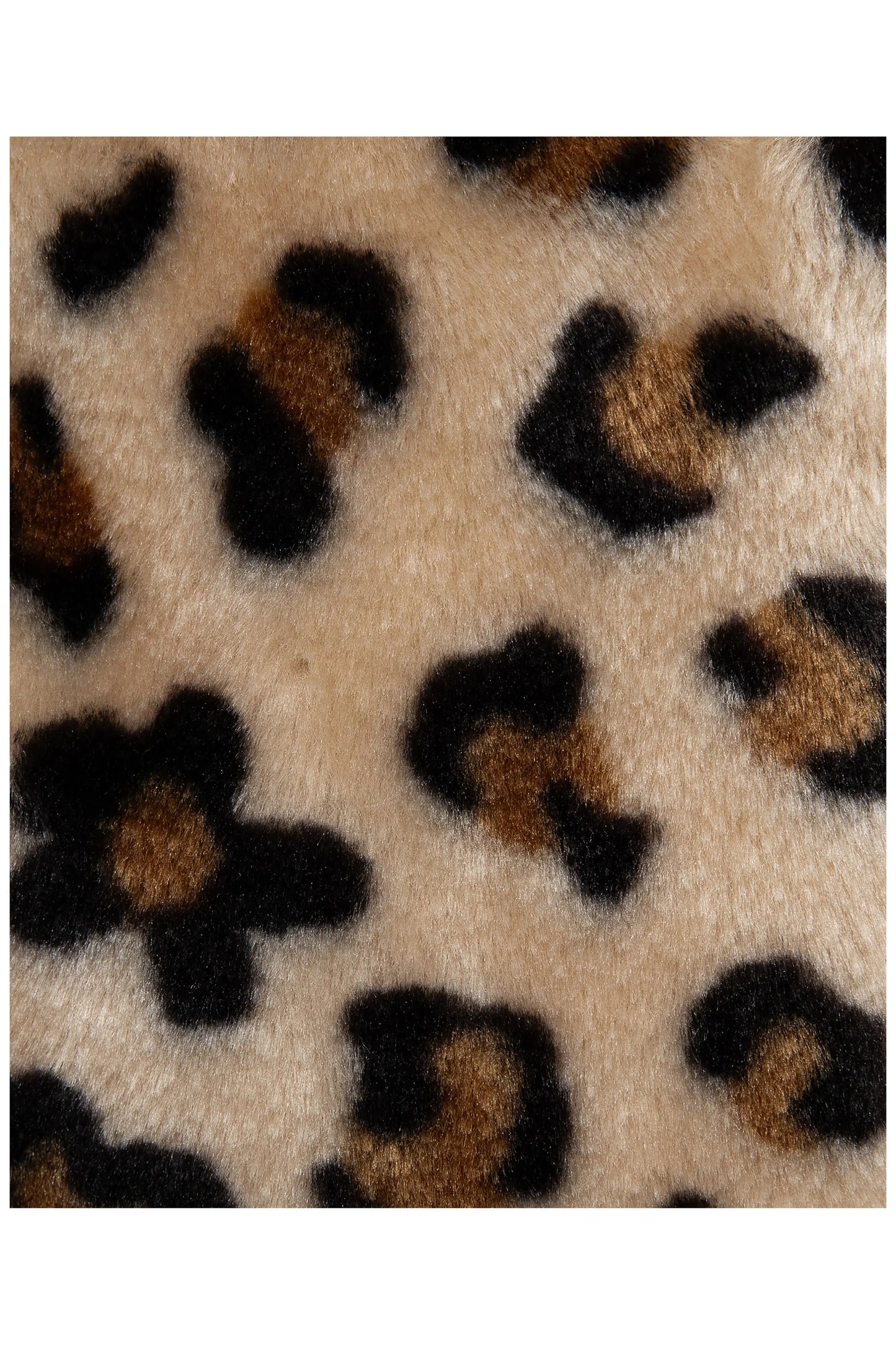 Leopard 3Pc Jacket Set