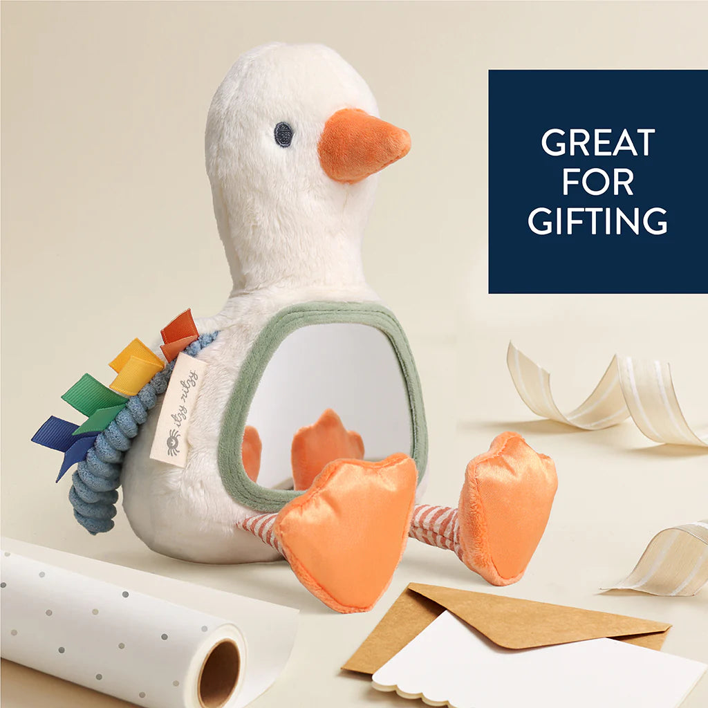 Itzy Bitzy Mirror Sensory Tummy Time Mirror Goose