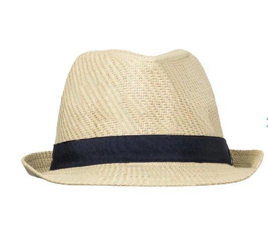 Navy Trim Fedora