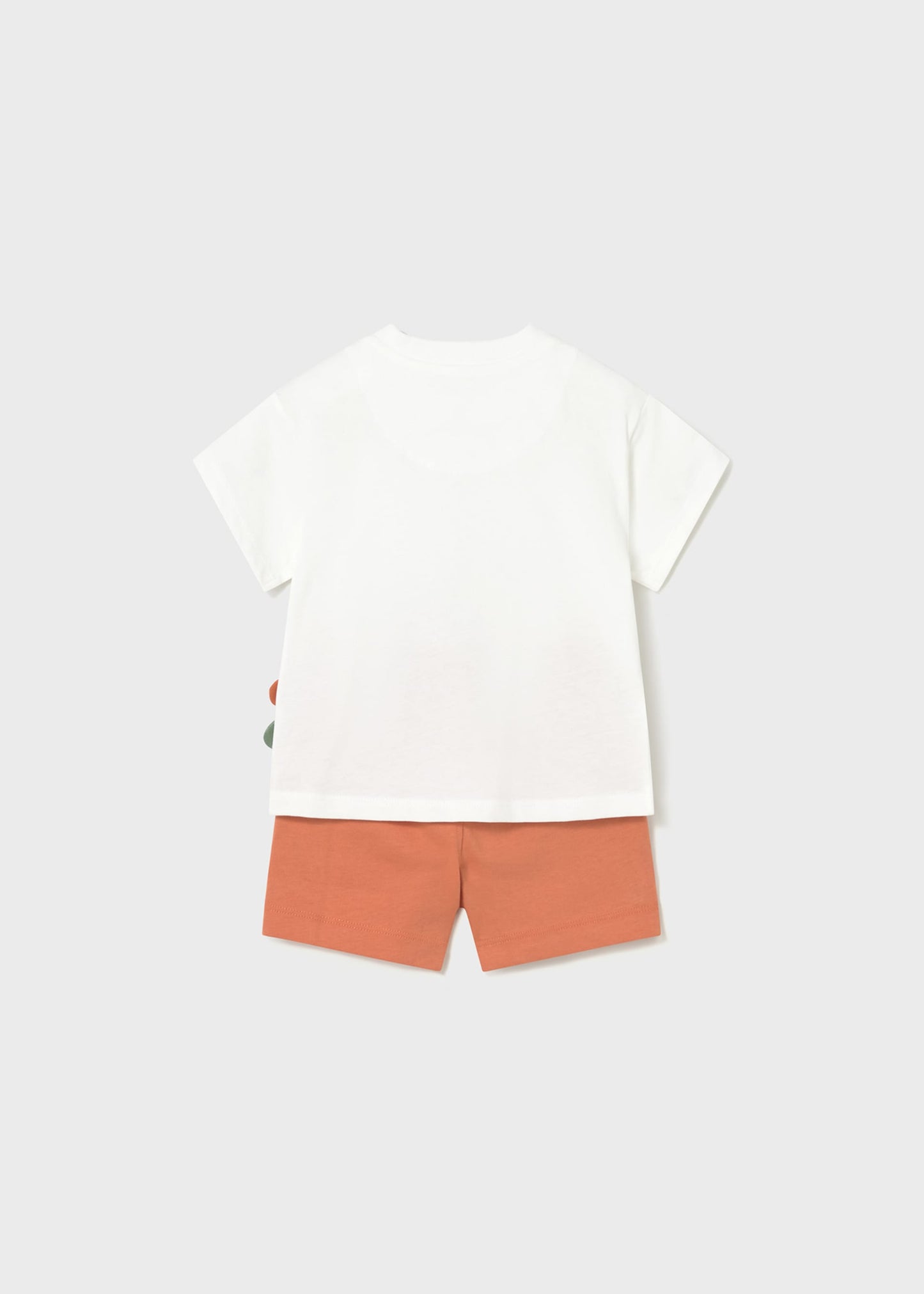 Chameleon Two Piece Short Set