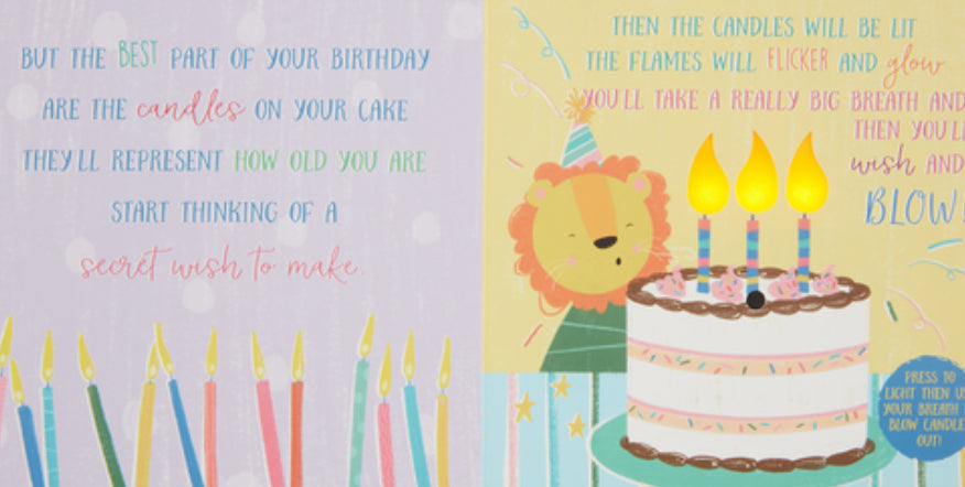 Birthday Board Book