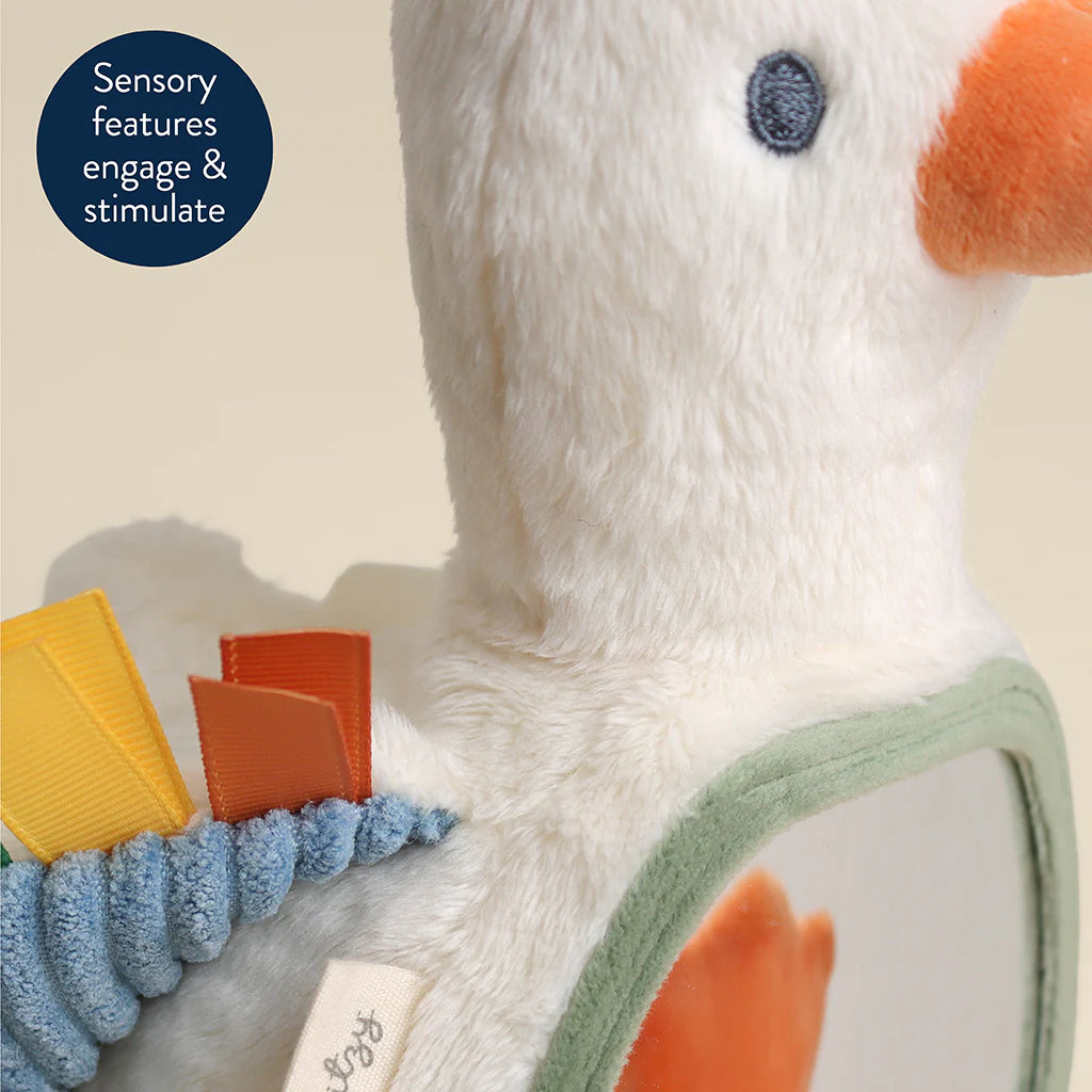 Itzy Bitzy Mirror Sensory Tummy Time Mirror Goose