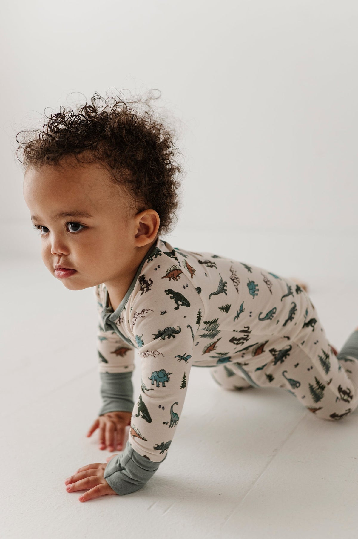 Long Sleeve Zip Romper Dino Land
