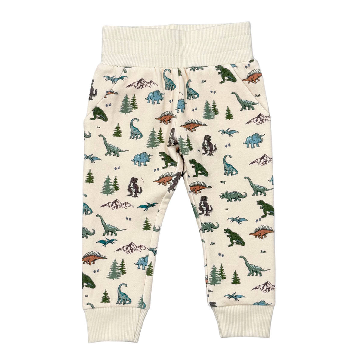 Fleece Joggers Dino Land
