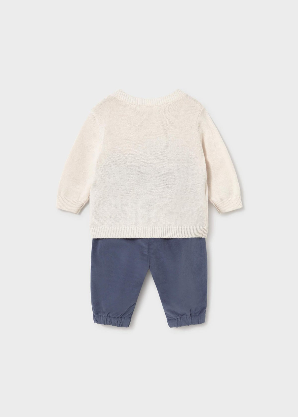 Winter Puppy Sweater & Pant Set
