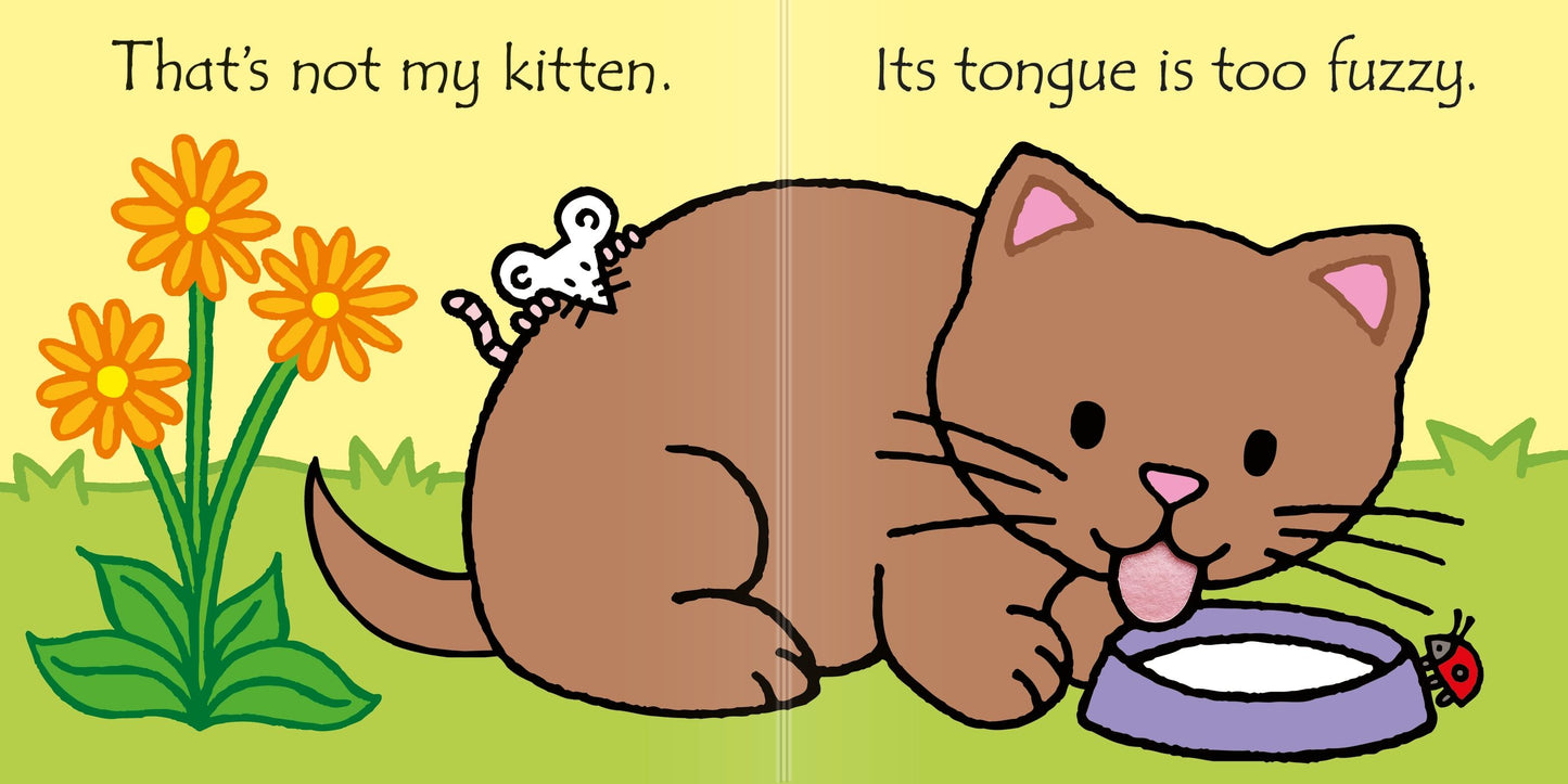 That’s Not My Kitten