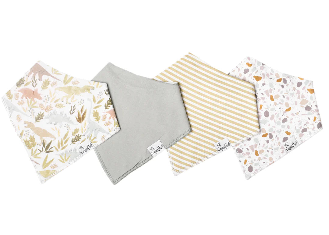 Baby Bandana Bib Set Rex