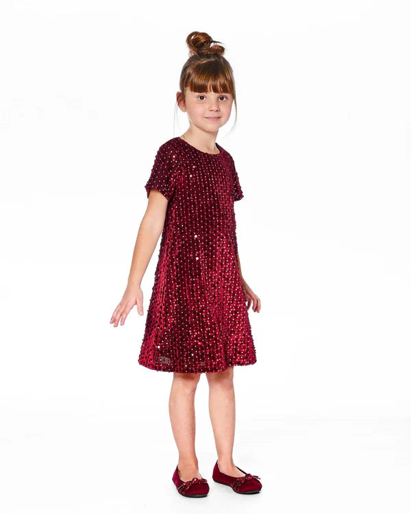 Velvet Short Sleeve Dress Red