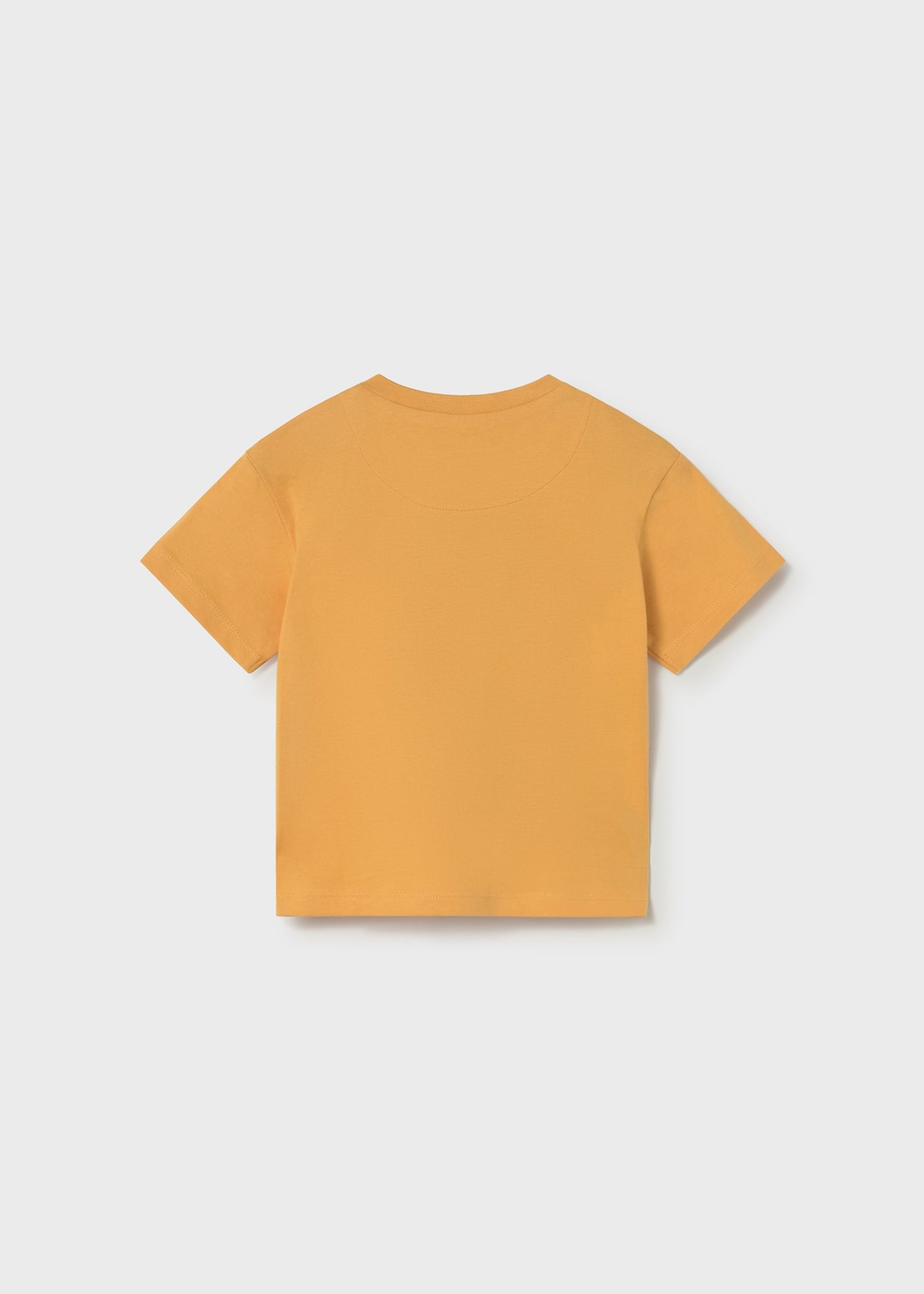 Giraffe Graphic T-Shirt