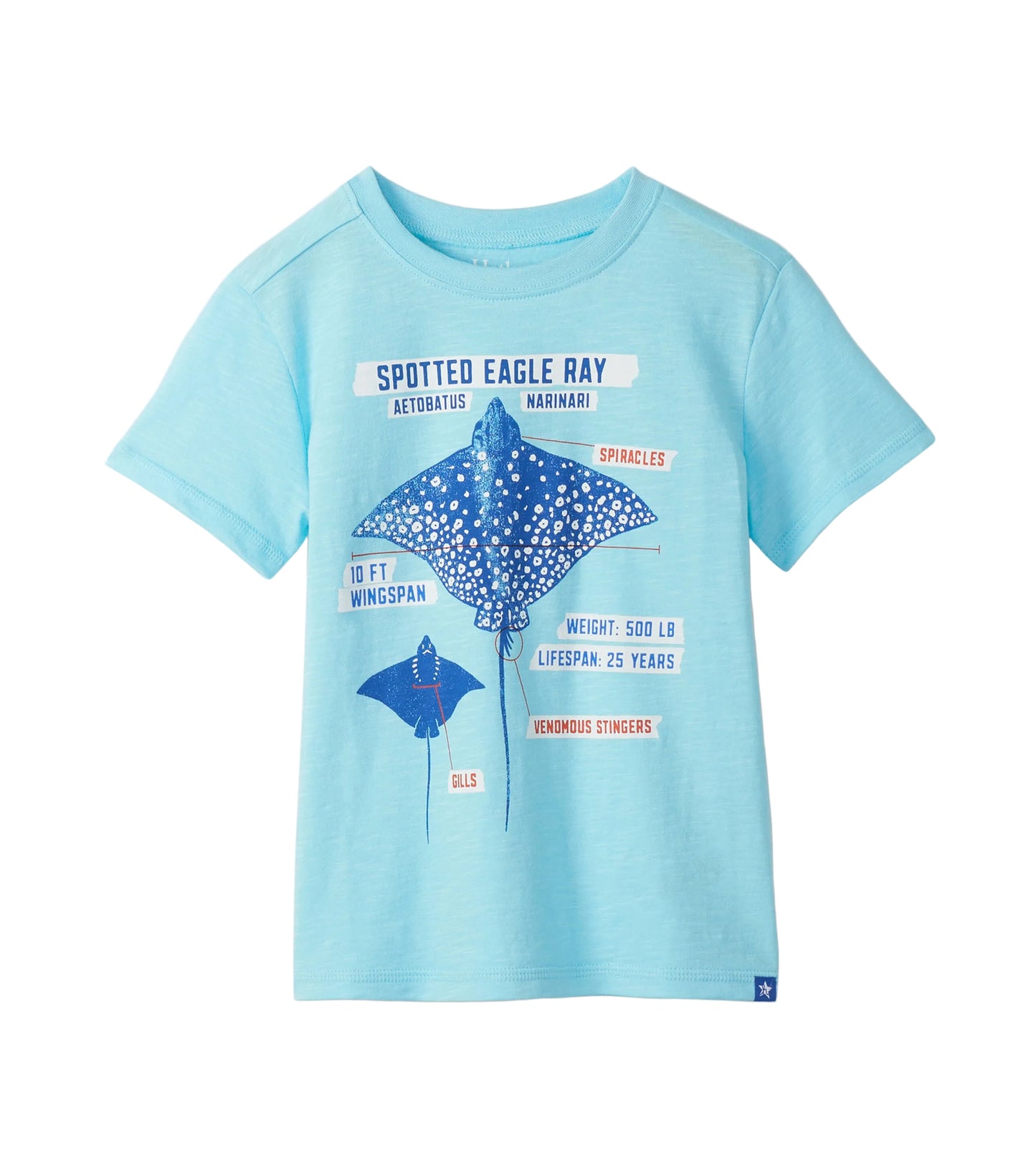 Sting Ray Graphic Tee