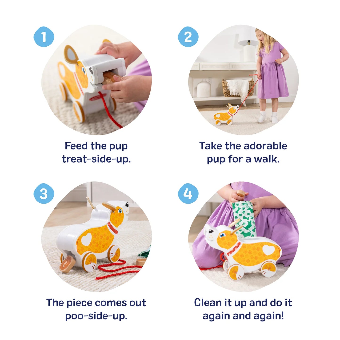 Feed, Walk, and Poo Pup