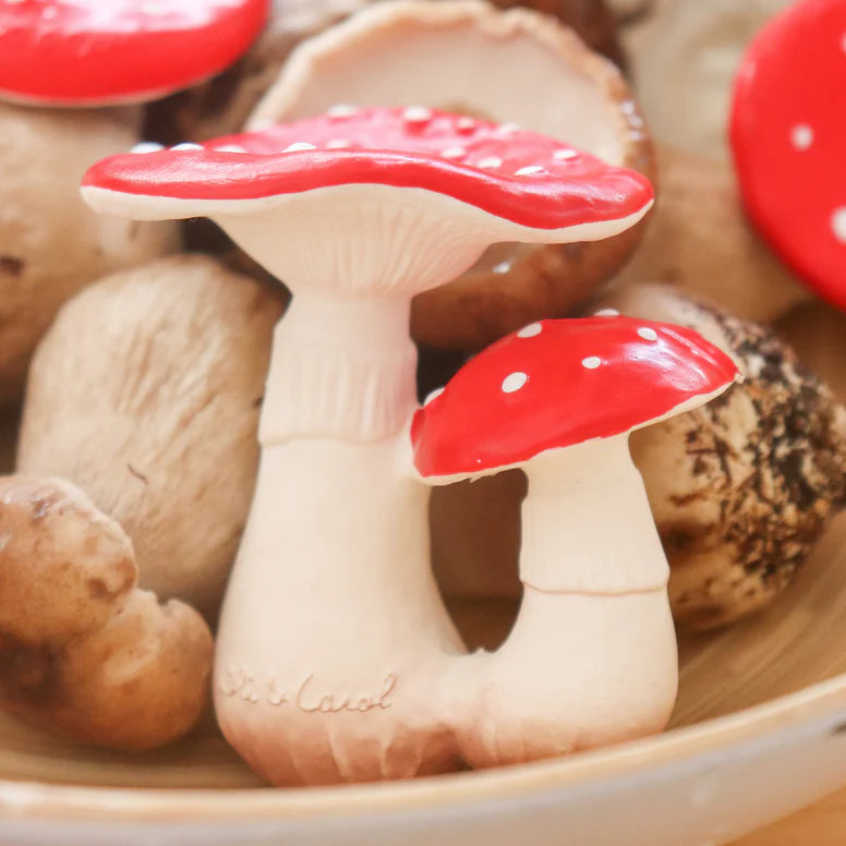 Spot the Mushroom Teether