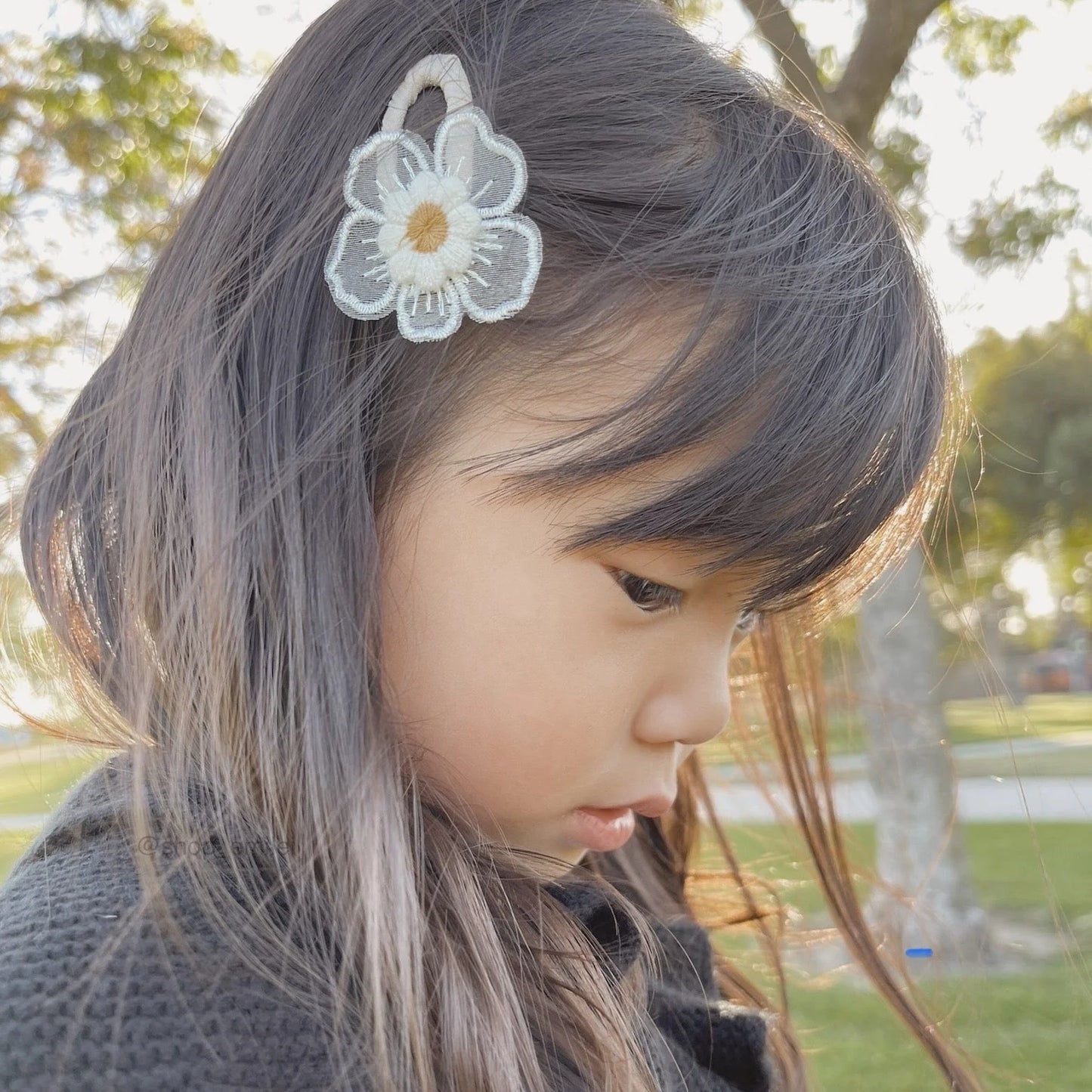 Barrette Hair Clips - Set of 4