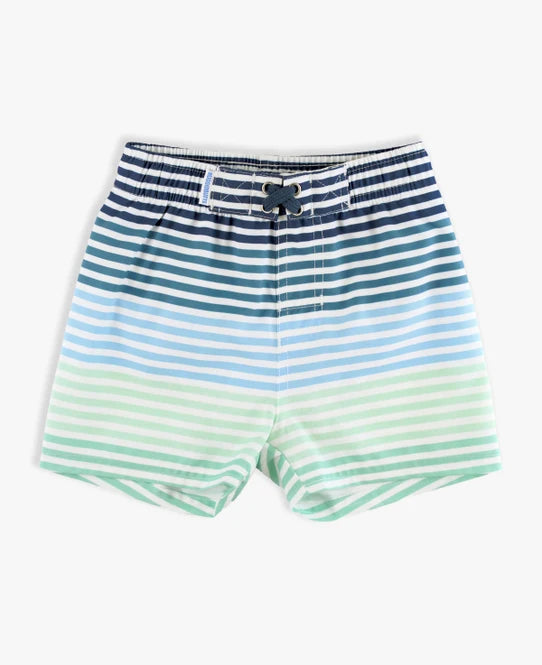 Coastal Stripe Swim Trunks