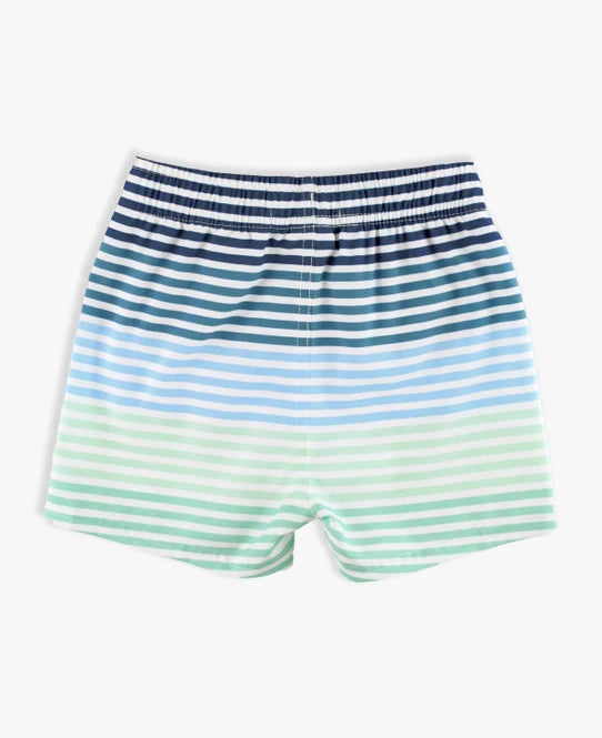 Coastal Stripe Swim Trunks