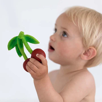 Oli & Carol Fruit & Veggie Teethers