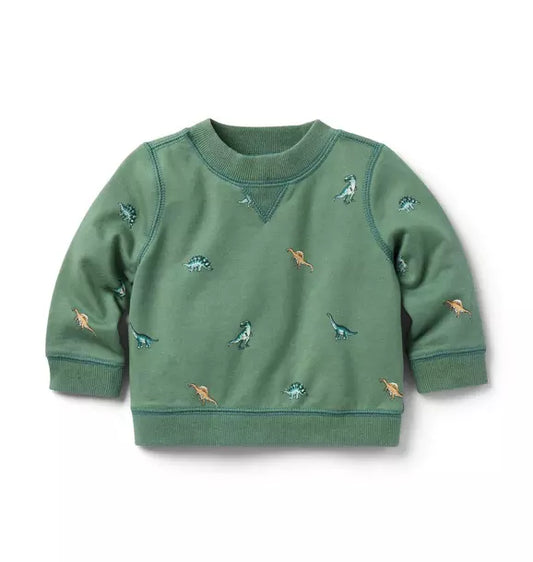 Baby Dinosaur Jogger Set