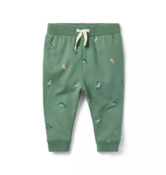 Baby Dinosaur Jogger Set