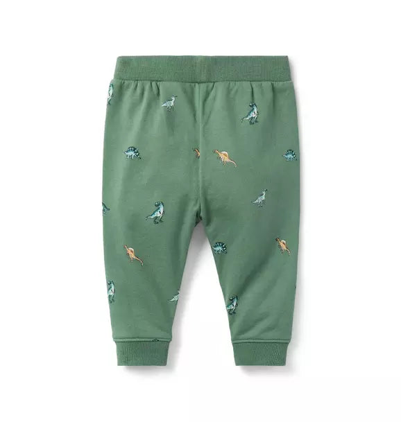 Baby Dinosaur Jogger Set