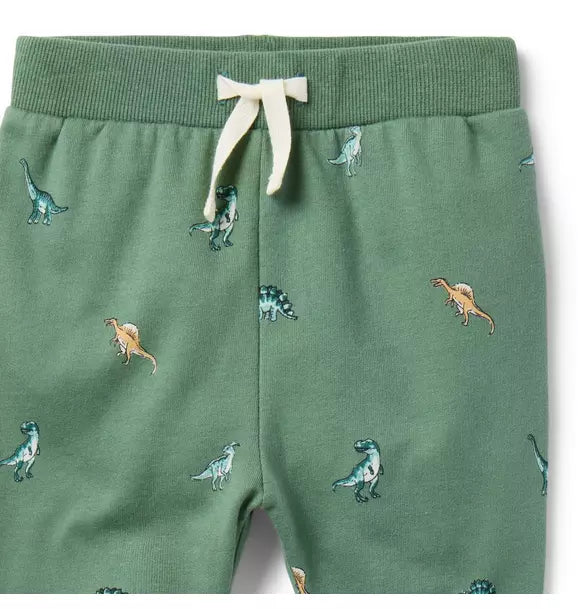 Baby Dinosaur Jogger Set