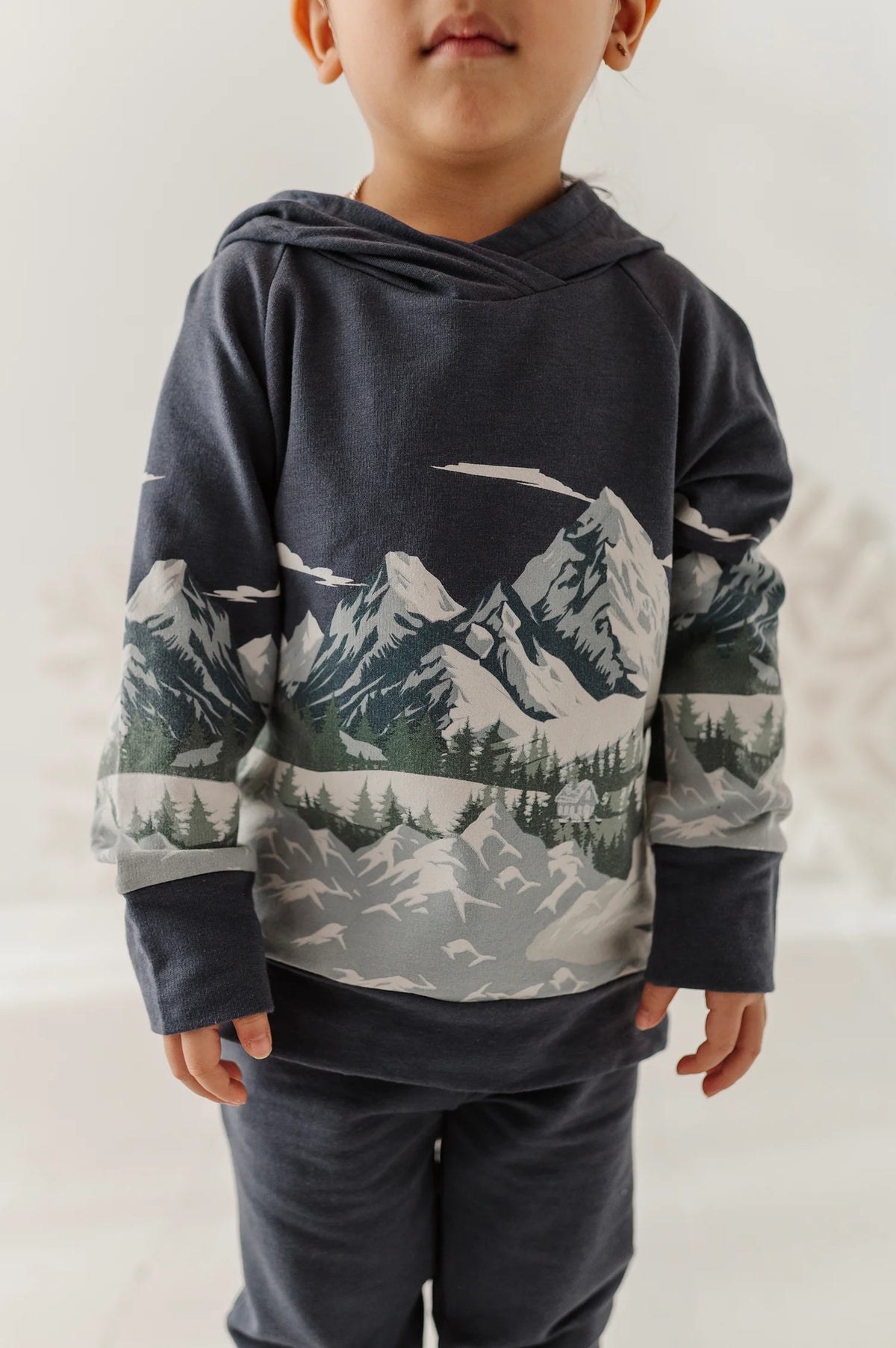 Scenic Raglan Hoodie Mountains On Nightfall Blue