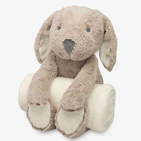 Bedtime Huggie Plush Toy & Blanket